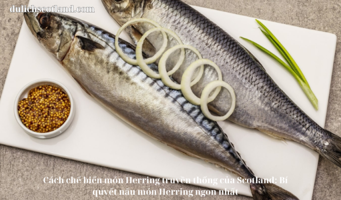 Read more about the article Cách chế biến món Herring truyền thống của Scotland: Bí quyết nấu món Herring ngon nhất