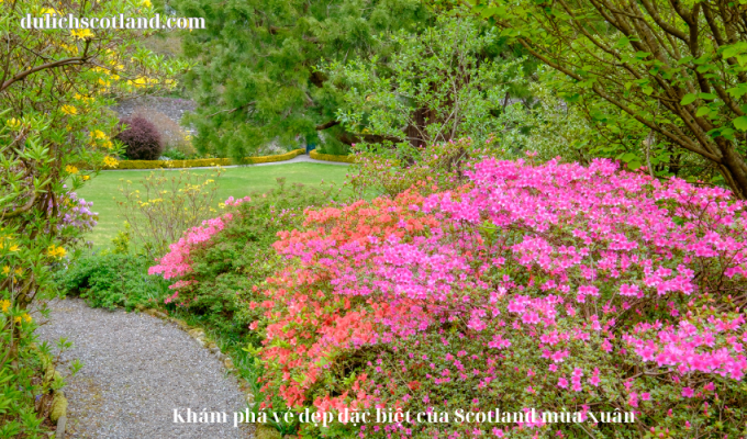 Read more about the article Khám phá vẻ đẹp đặc biệt của Scotland mùa xuân